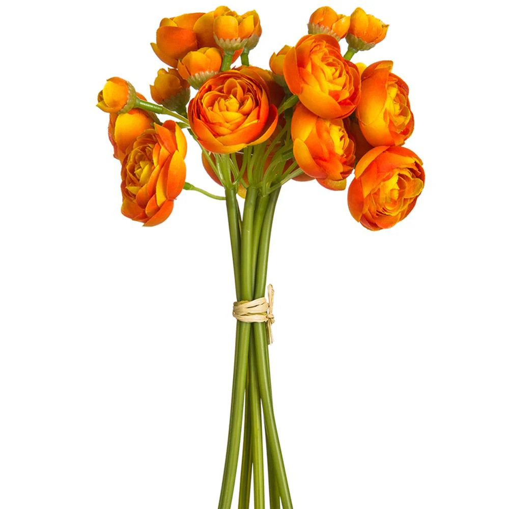 10 Inch Mini Ranunculus Bundle - Image 5