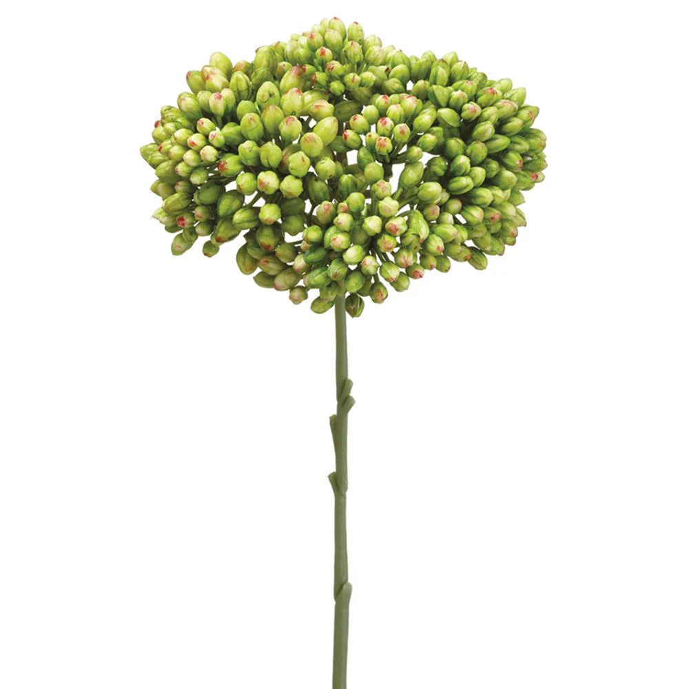 12.5" Sedum Spray Green