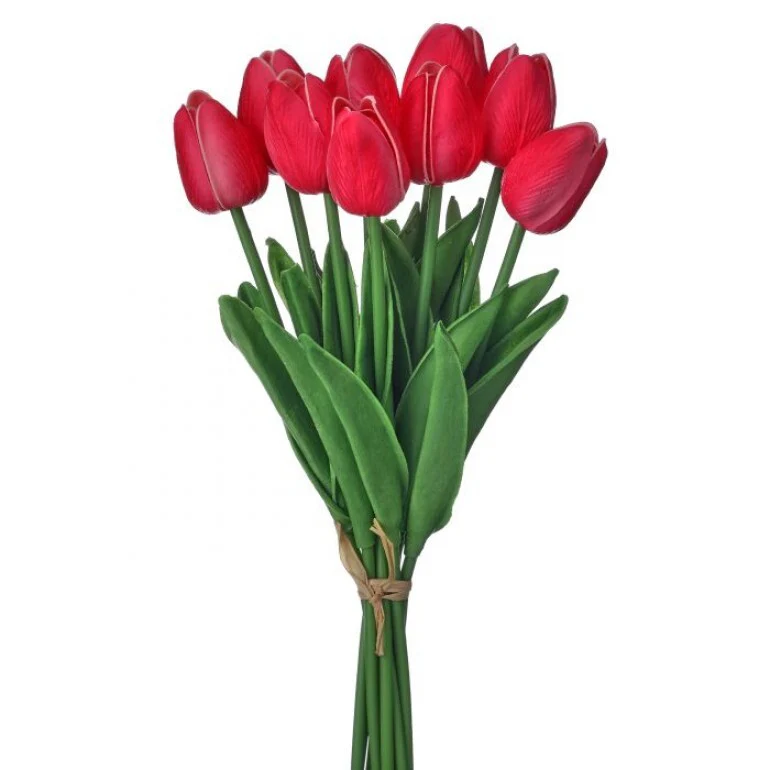 13" Eva Dutch Tulip Bundle - Image 2