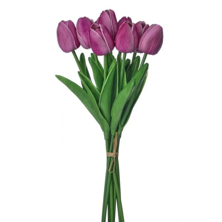 13" Eva Dutch Tulip Bundle - Image 3