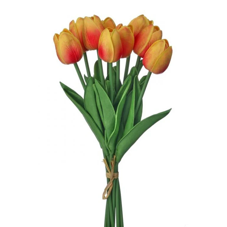 13" Eva Dutch Tulip Bundle - Image 4