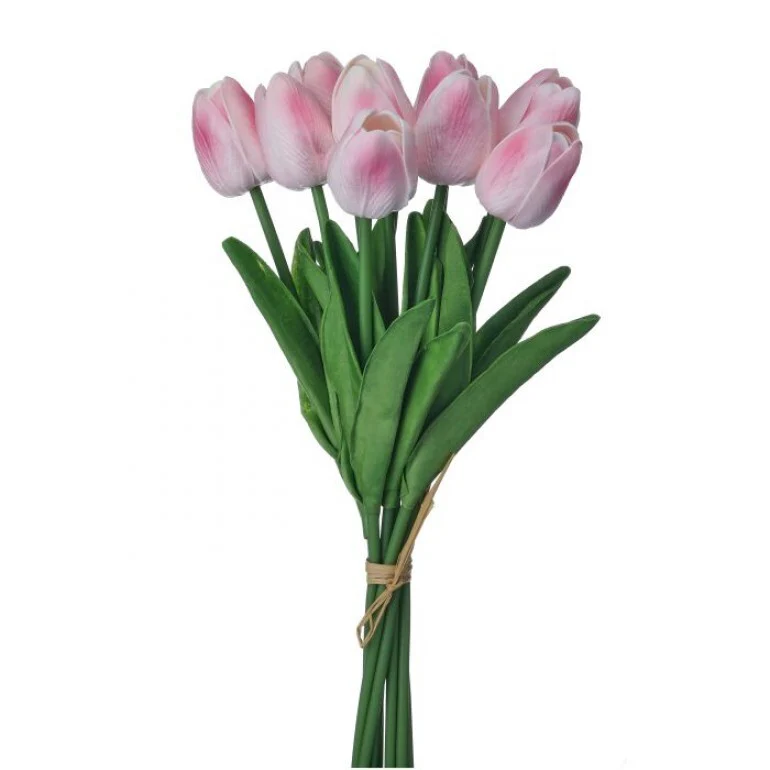 13" Eva Dutch Tulip Bundle - Image 5