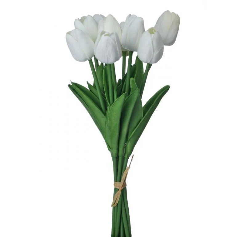 13" Eva Dutch Tulip Bundle - Image 6