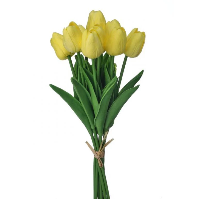 13" Eva Dutch Tulip Bundle - Image 7
