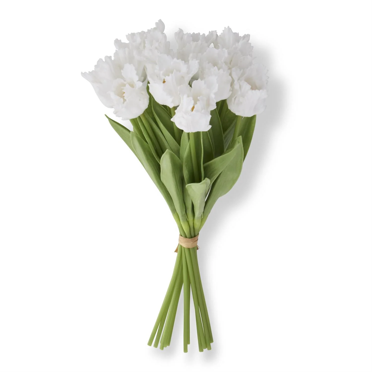 13 Inch Real Touch Parrot Tulip Bundle - Image 2