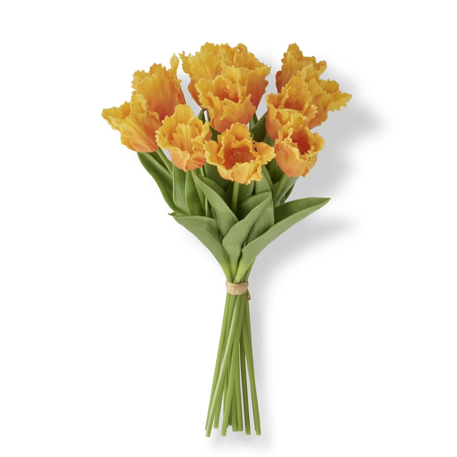 13 Inch Real Touch Parrot Tulip Bundle - Image 3