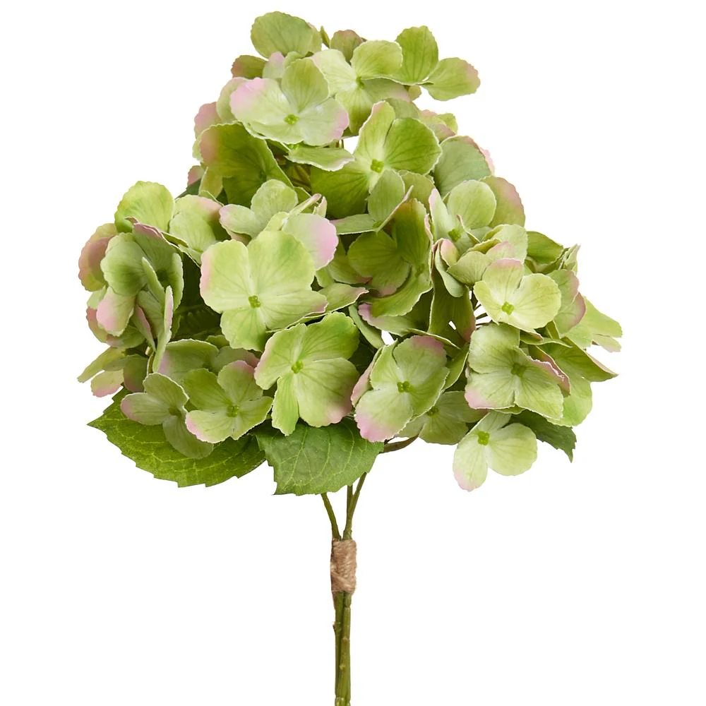 14.5 Hydrangea Bundle - Image 4