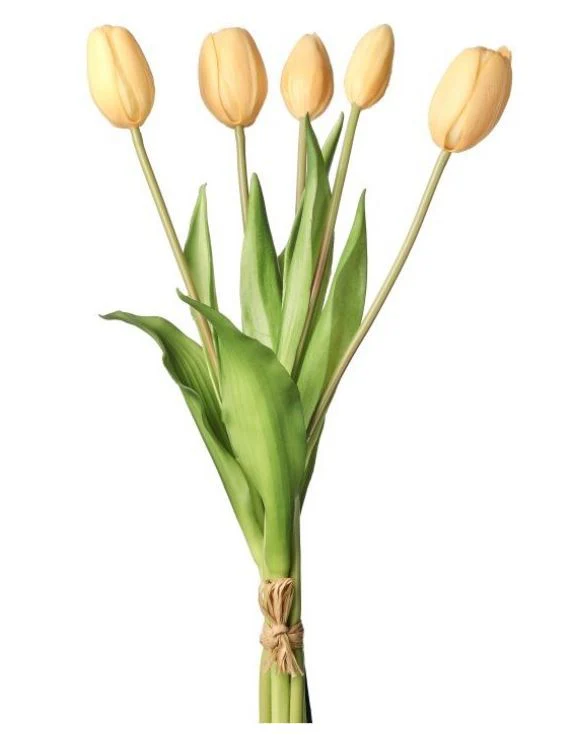 15.25” PL Soft Touch Tulip Bundle X5 - Image 2