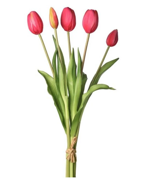 15.25” PL Soft Touch Tulip Bundle X5 - Image 3