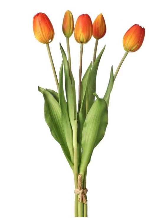 15.25” PL Soft Touch Tulip Bundle X5 - Image 4