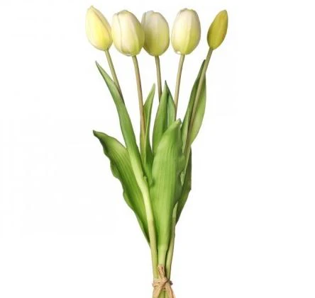 15.25” PL Soft Touch Tulip Bundle X5 - Image 5