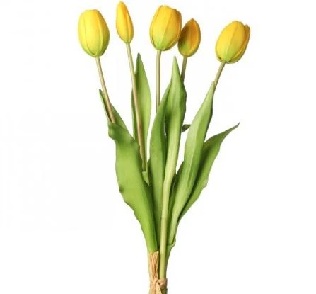 15.25” PL Soft Touch Tulip Bundle X5 - Image 6