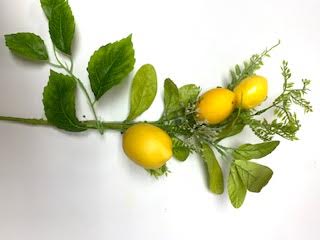 15 IN Lemon Pick
