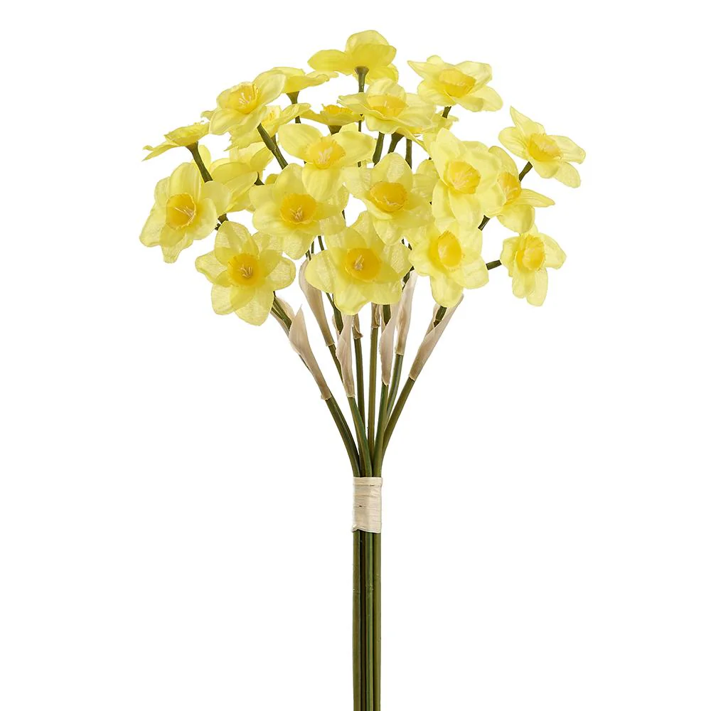 15" Narcissus Bundle Yellow