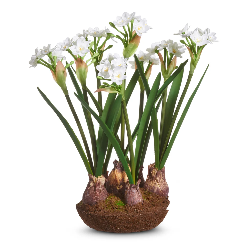 15" Narcissus Drop In