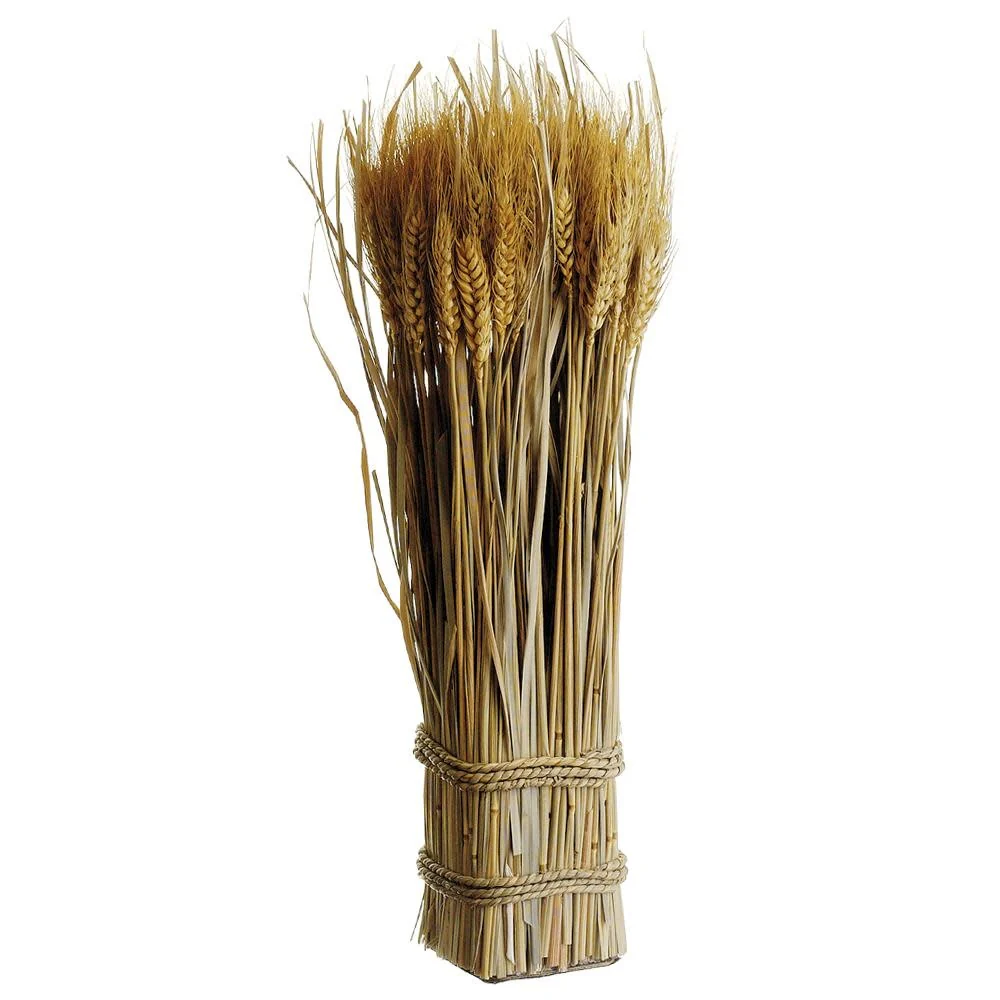 16.9" Wheat Grass Std Twig