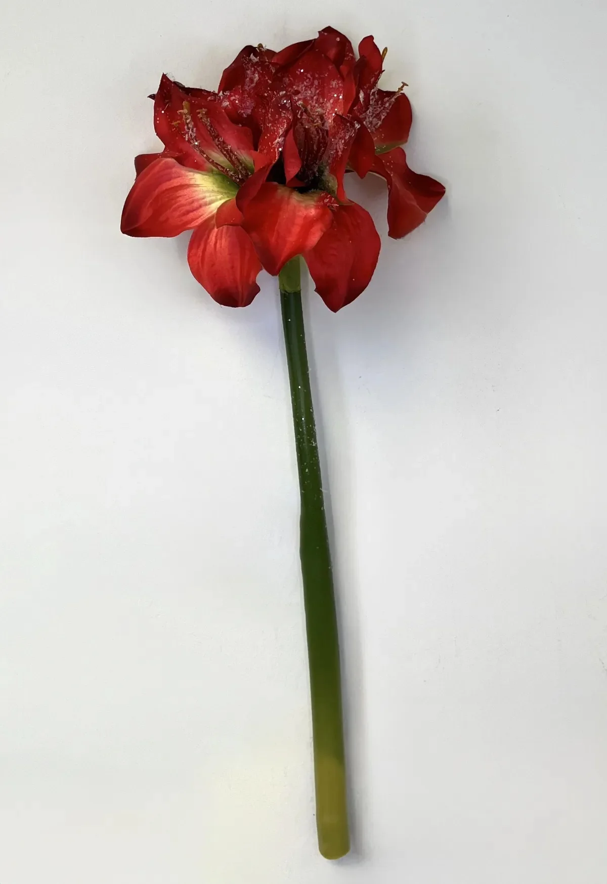 16in Ice Amaryllis Spray