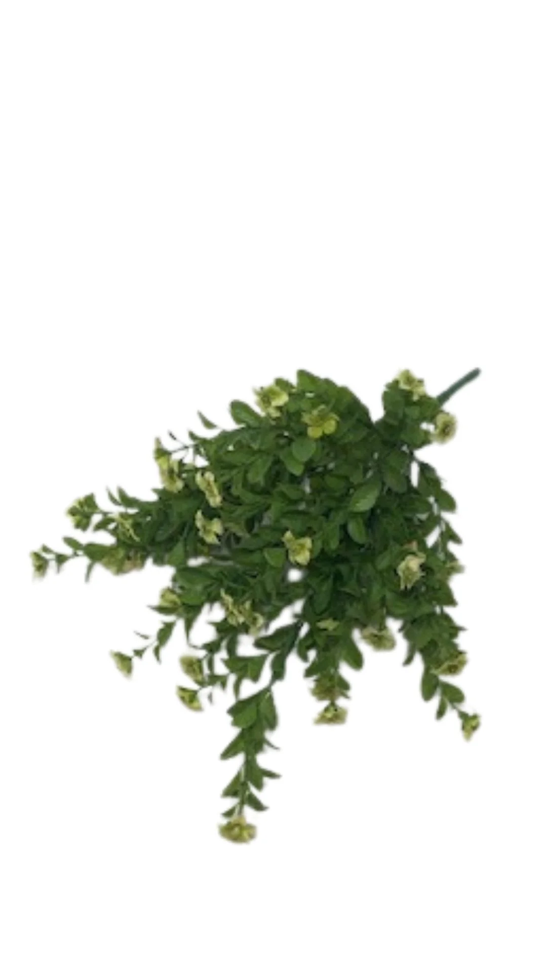 17 IN Filler Bush X 9 - Image 2