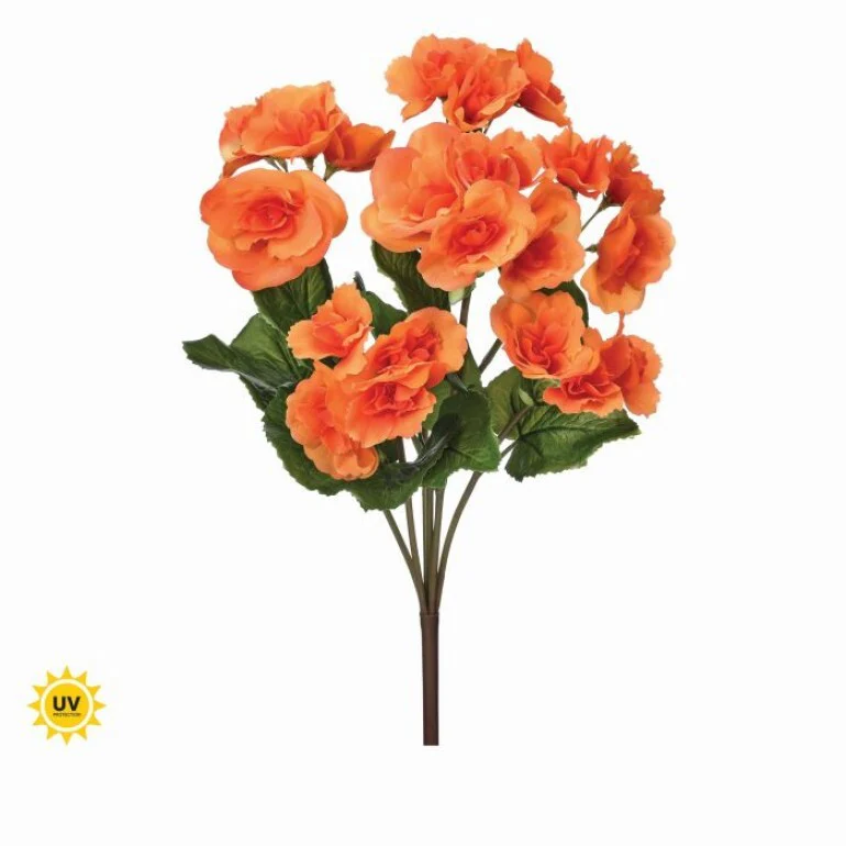 17" UV Summer Reiger Begonia Plant - Image 2