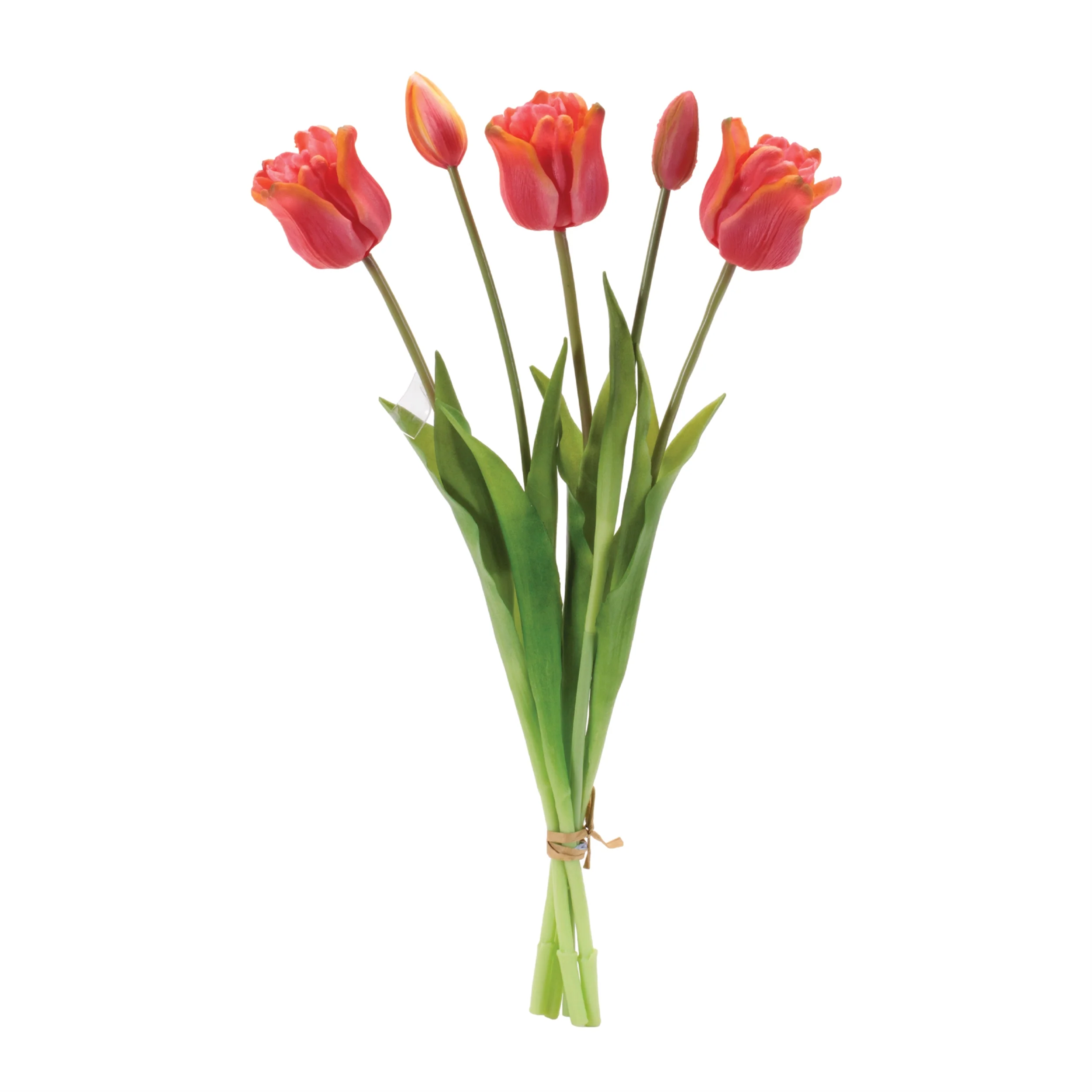 18.5"H Tulip Bundle