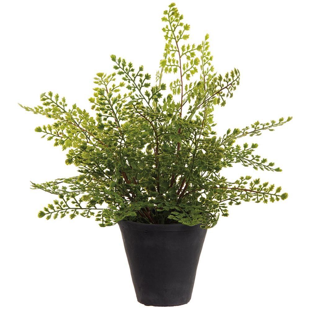 18" Soft PE Maidenhair Fern Plant in Cement Pot Green