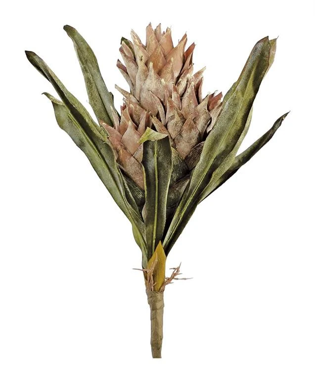 19" Dried Protea Bundle Taupe