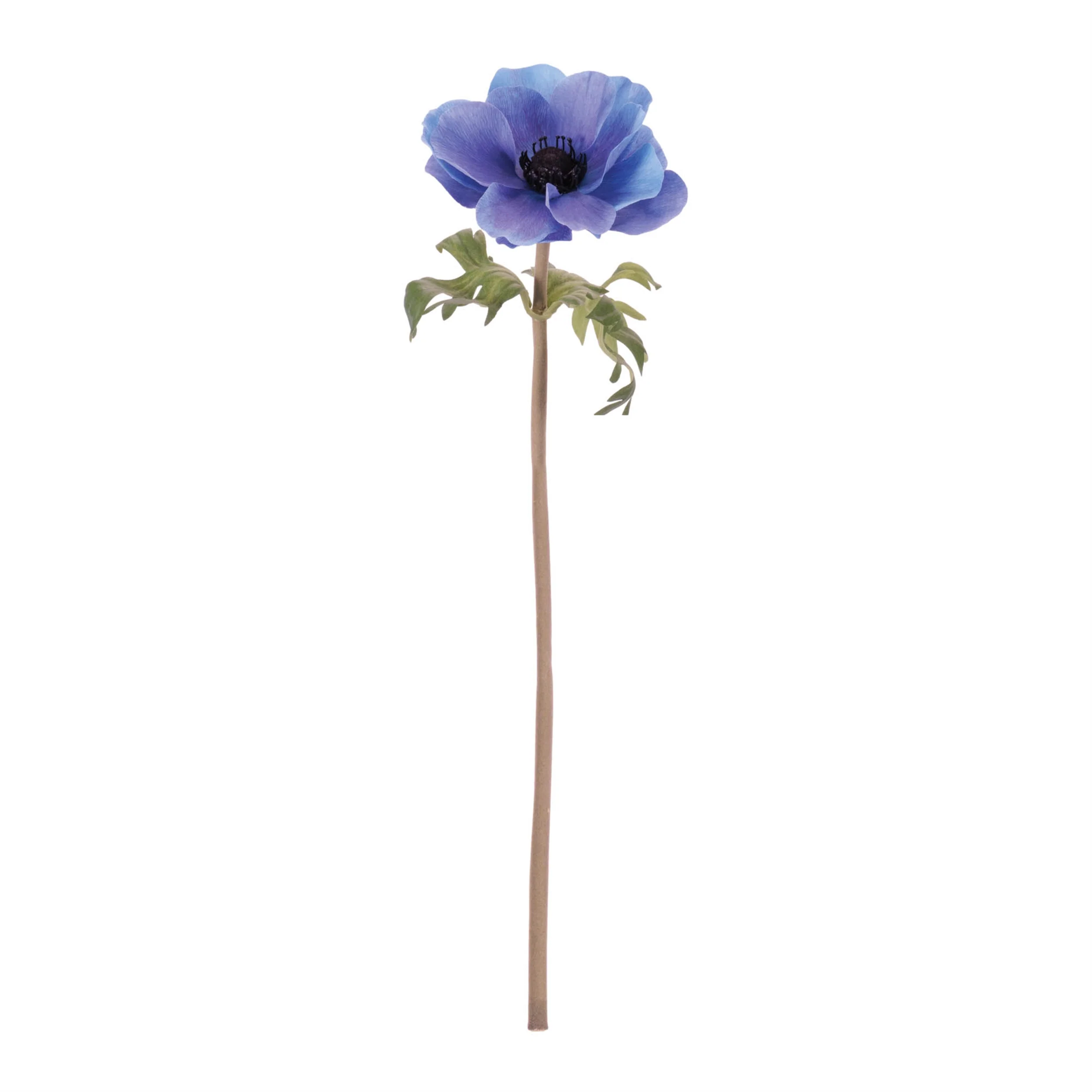 19"H Anemone Stem - Image 2