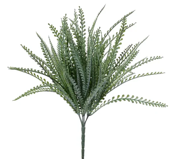 19"L Button Fern Bush x 7