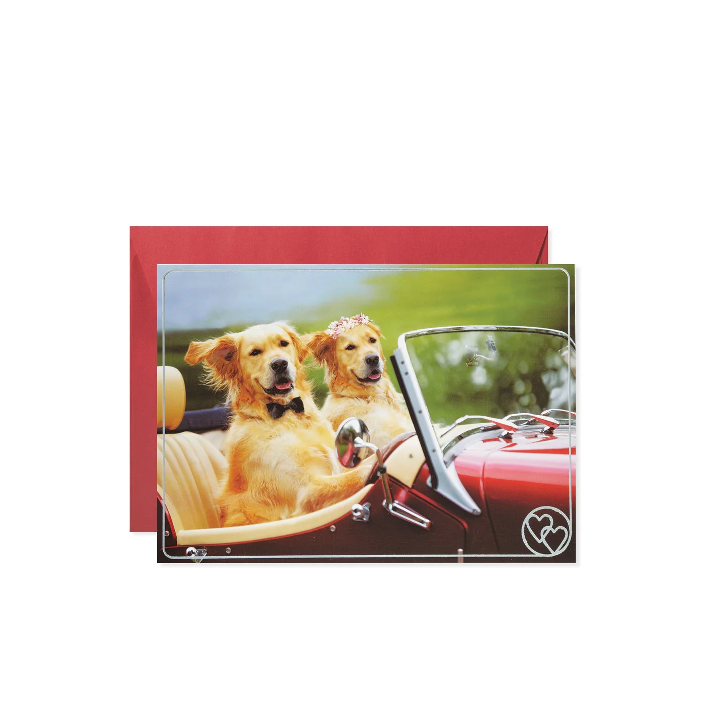 2 Dogs Driving Convertible