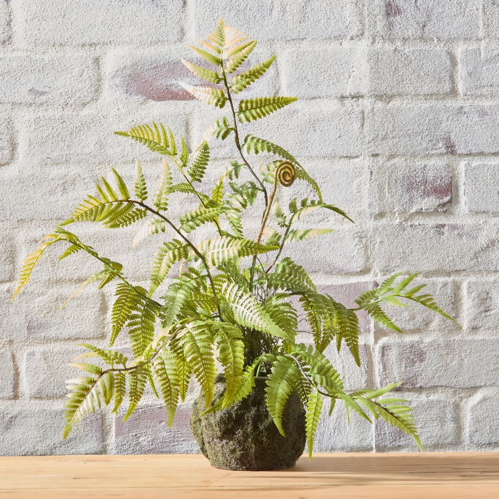 20" Fern Moss Drop In - Image 2