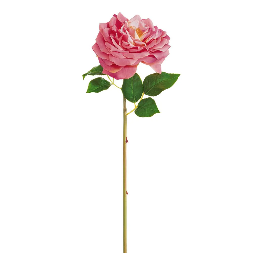 20 Inch Open Cabbage Rose Spray - Image 2