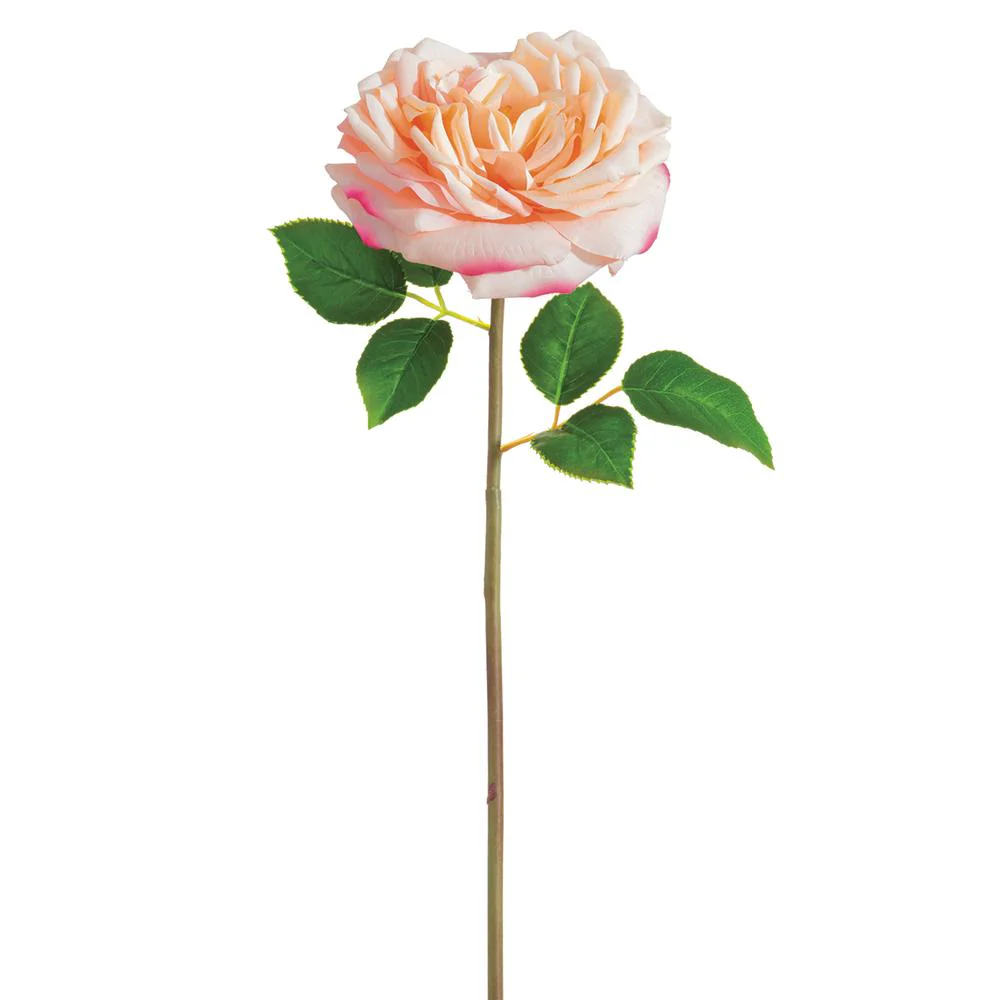 20 Inch Open Cabbage Rose Spray - Image 3