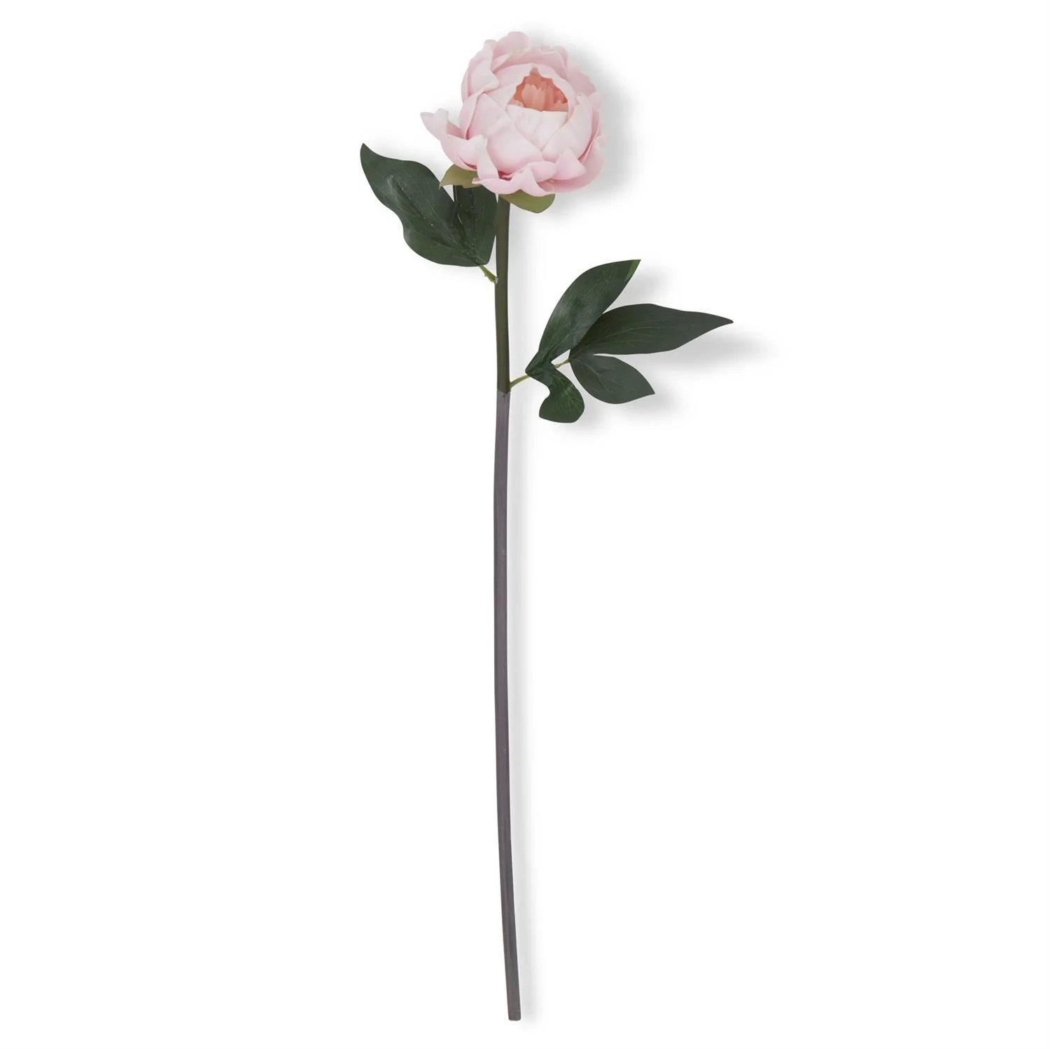 20 Inch Pink Real Touch Peony Stem