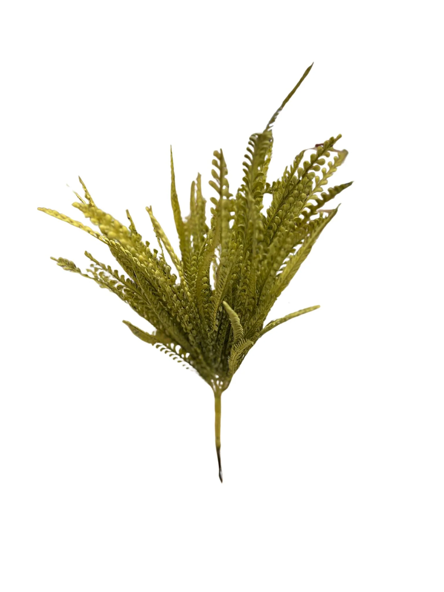 20" PE Keel Harvest Grass Bush - Image 5