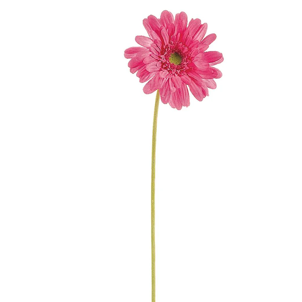 21.5" Medium Gerbera Daisy Spray - Image 2