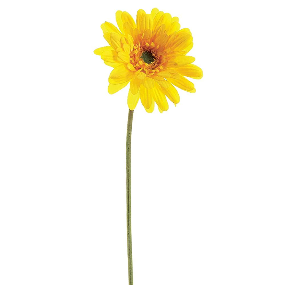 21.5" Medium Gerbera Daisy Spray - Image 3