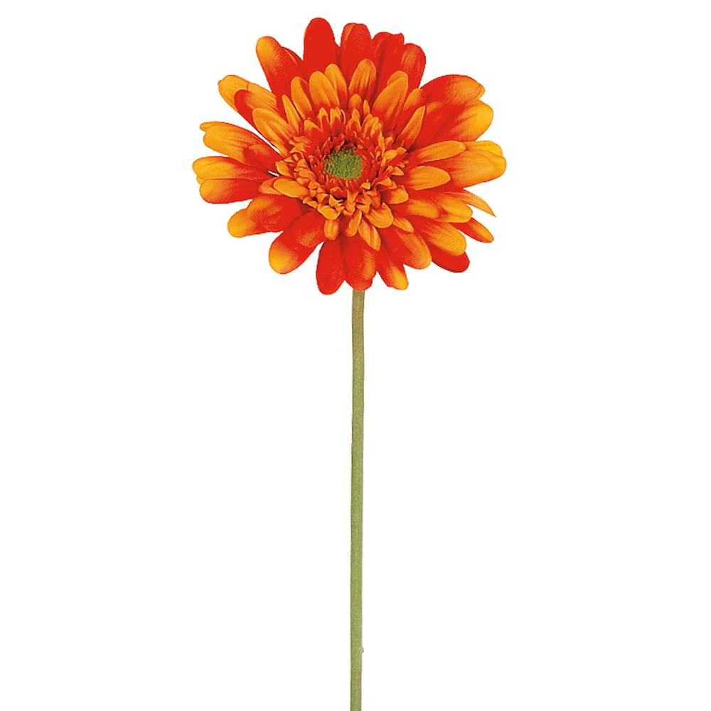 21.5" Medium Gerbera Daisy Spray - Image 5