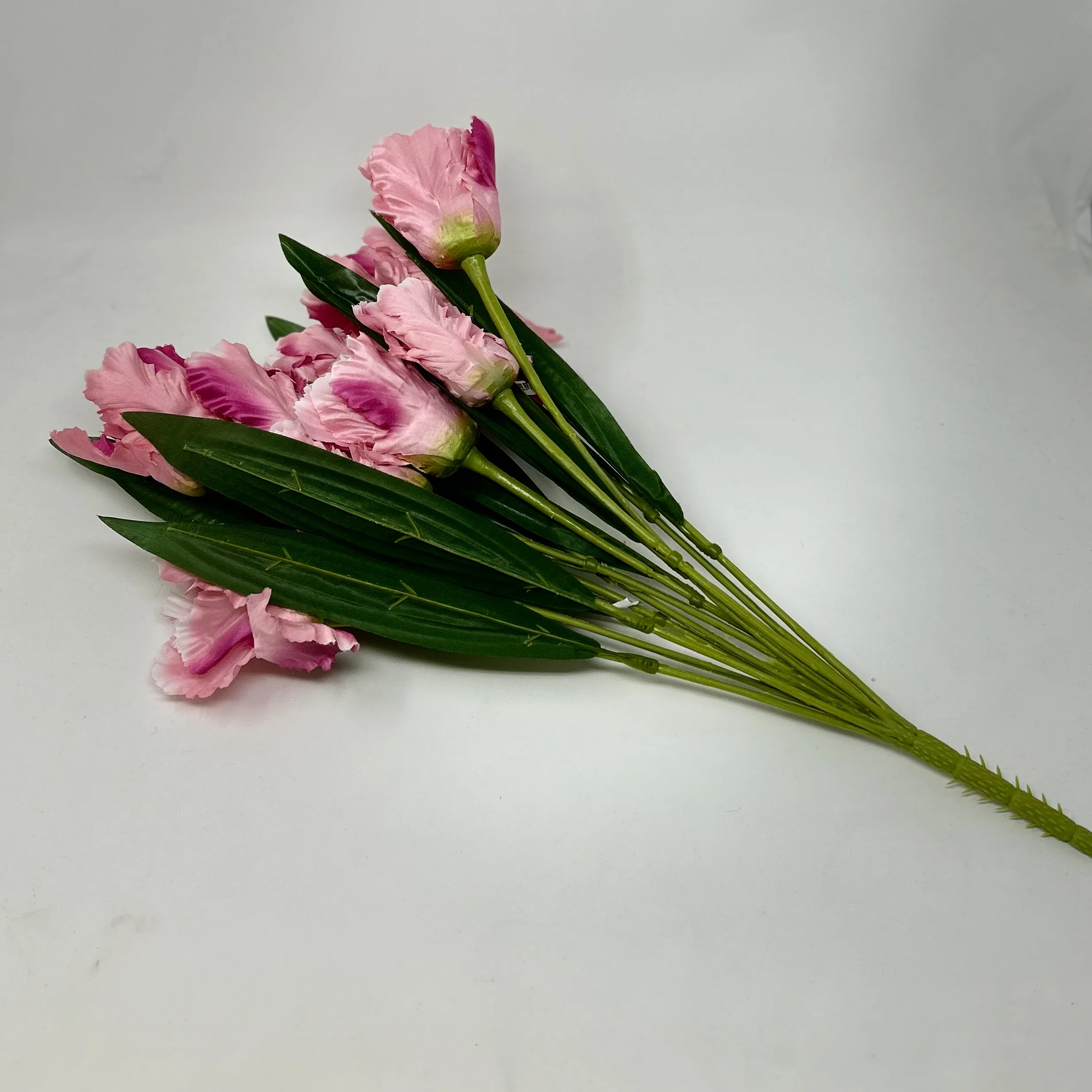21 IN Tulip Bush X 12