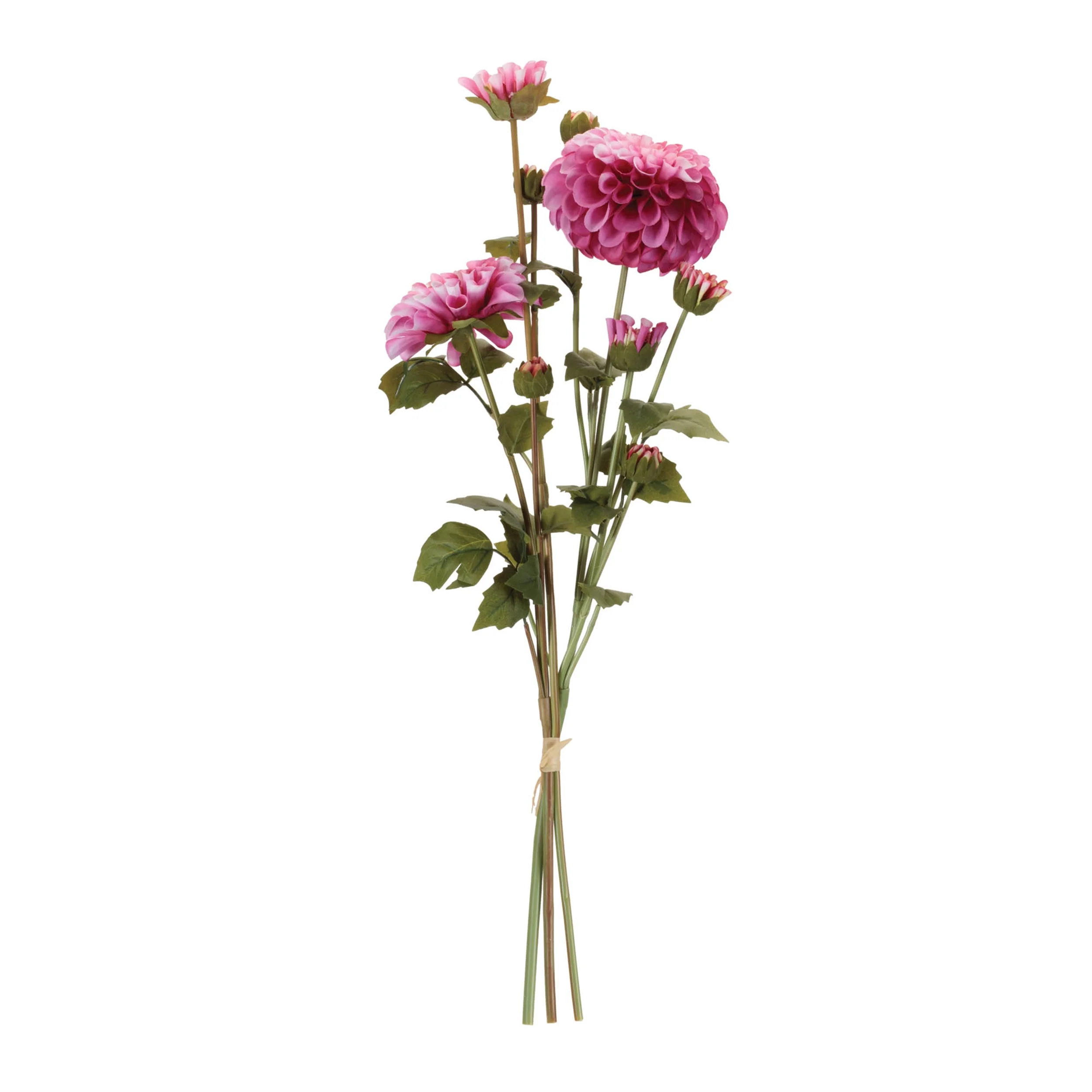23.5"H Zinnia Bundle - Image 2