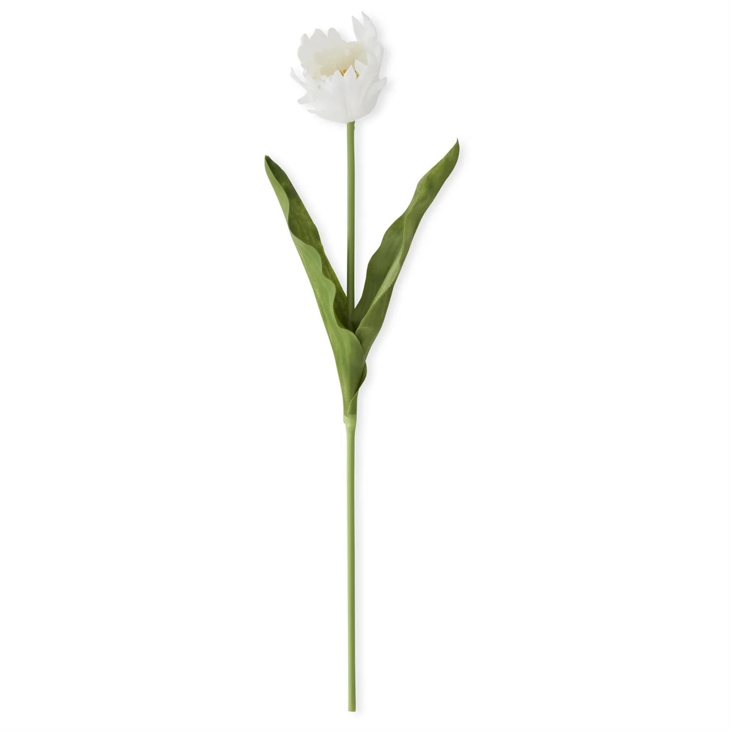 23 Inch Real Touch Parrot Tulip - Image 10