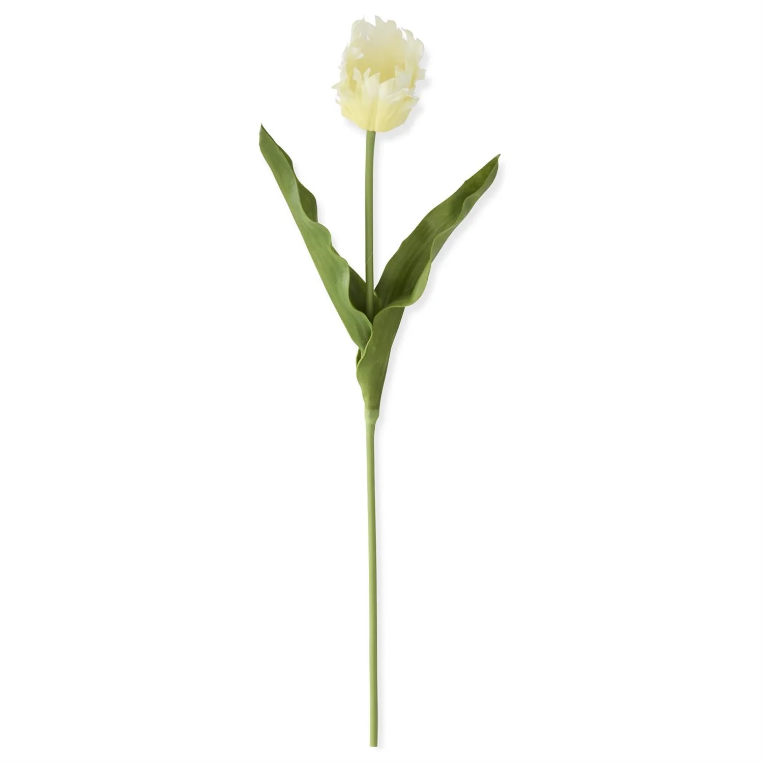 23 Inch Real Touch Parrot Tulip - Image 11