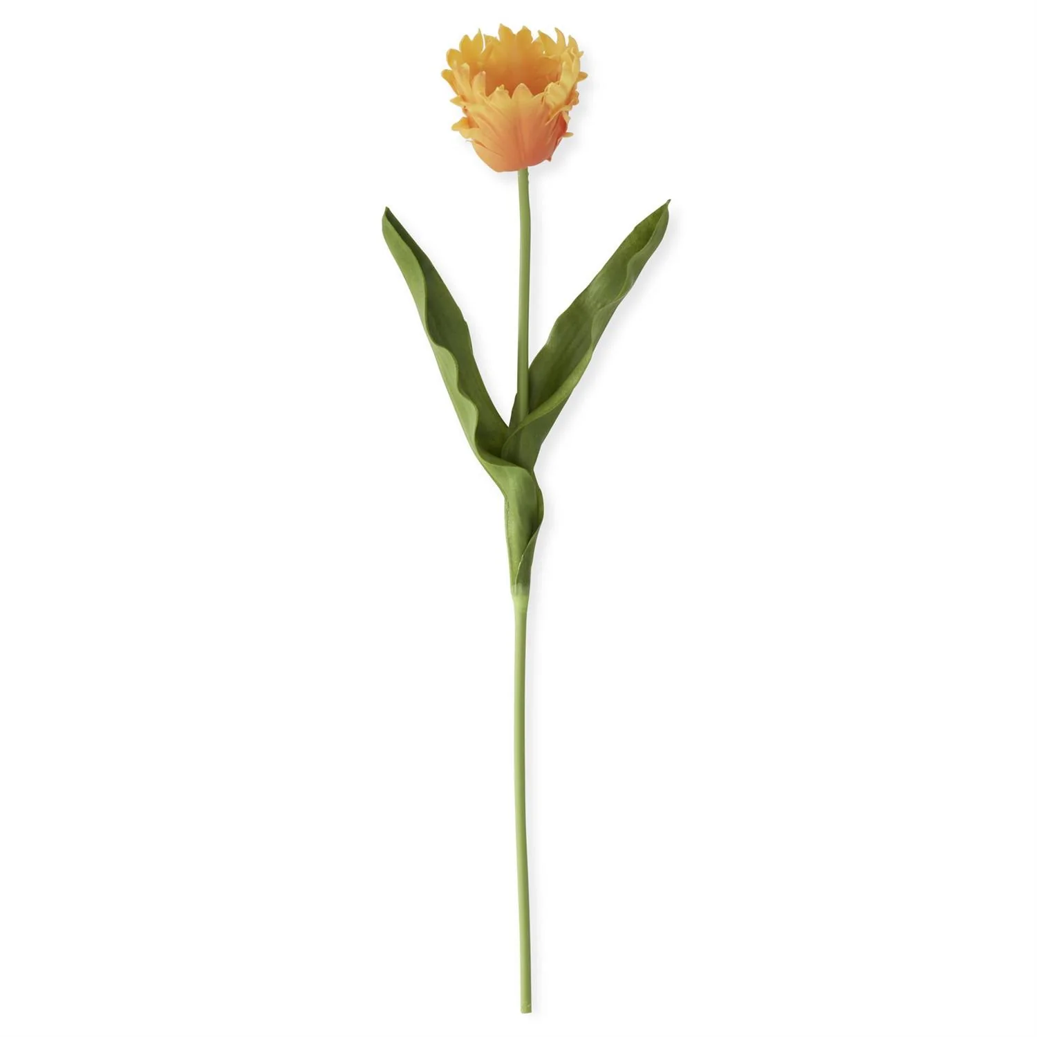 23 Inch Real Touch Parrot Tulip - Image 2