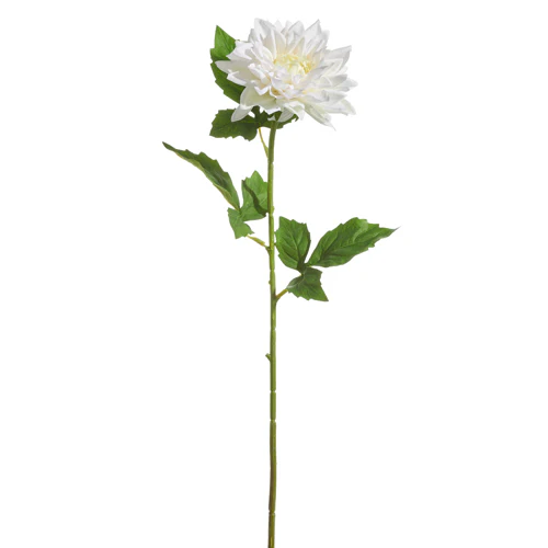 23” White Dahlia Stem