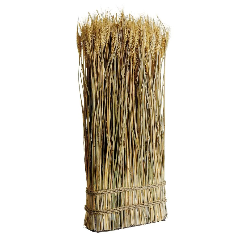 23.6" Preserved Wheat/Grass Standing Twig Natural