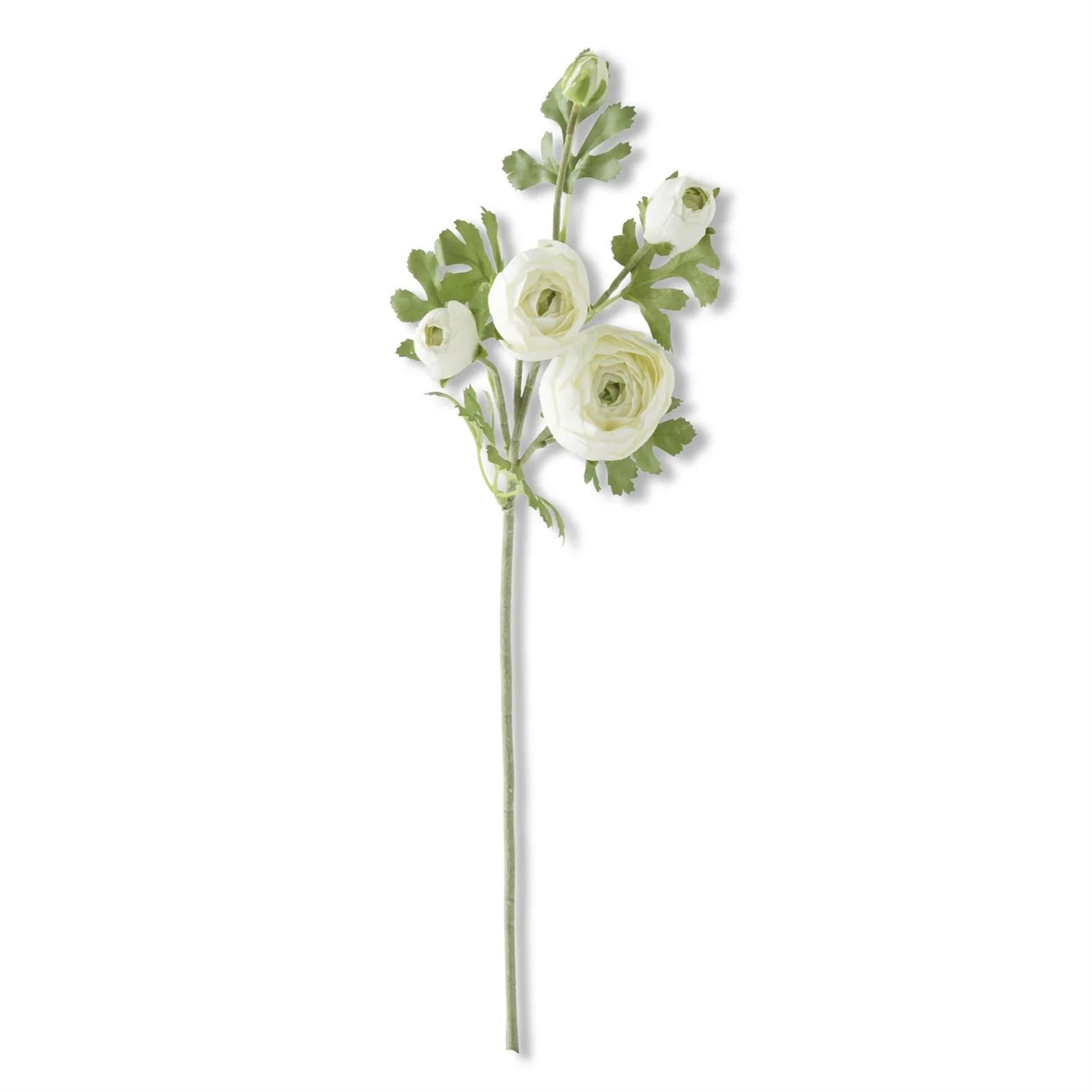 24.5 Inch Real Touch 5 Head Ranunculus Stem - Image 3