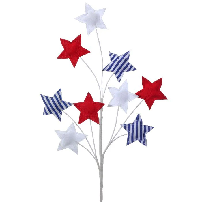 24” Americana Star Spray X