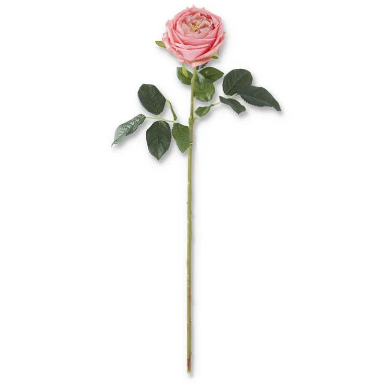 24 Inch Real Touch Austin Rose Stem Dark Pink