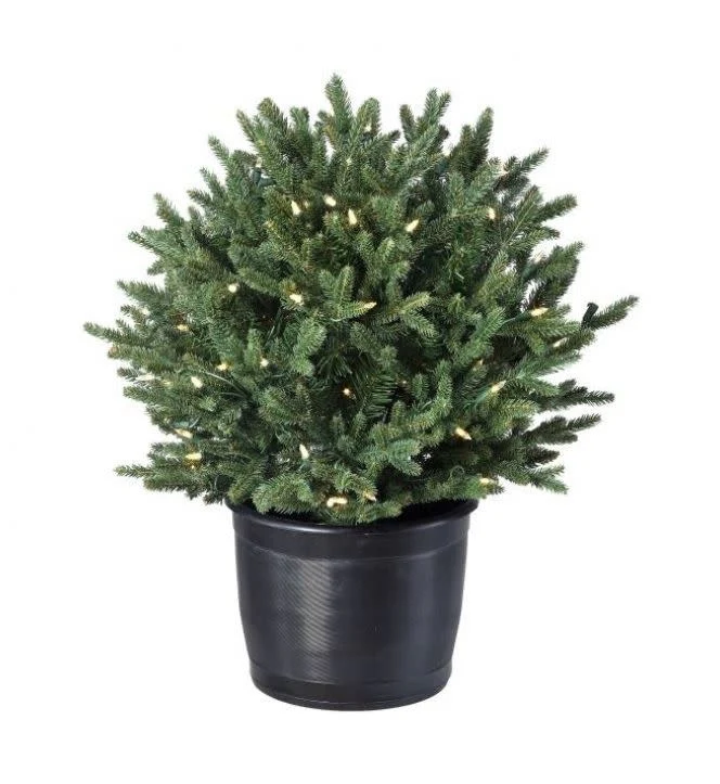 24" Led Noble Shrub