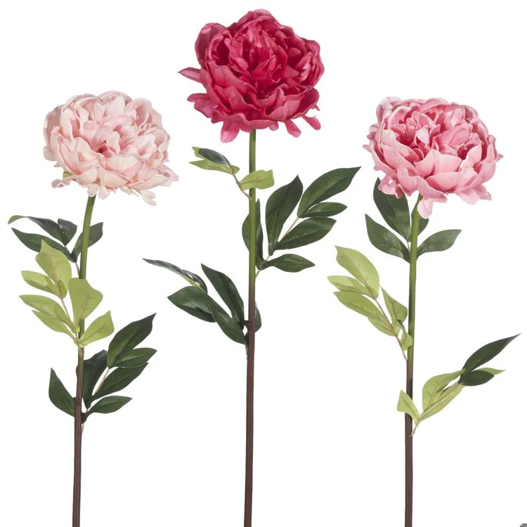 25” Real Touch Peony Stem - Sold Individually
