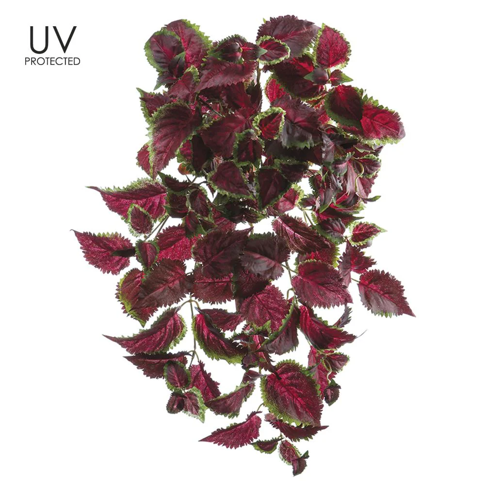 25" UV Protected Coleus Hanging Bush - Image 3